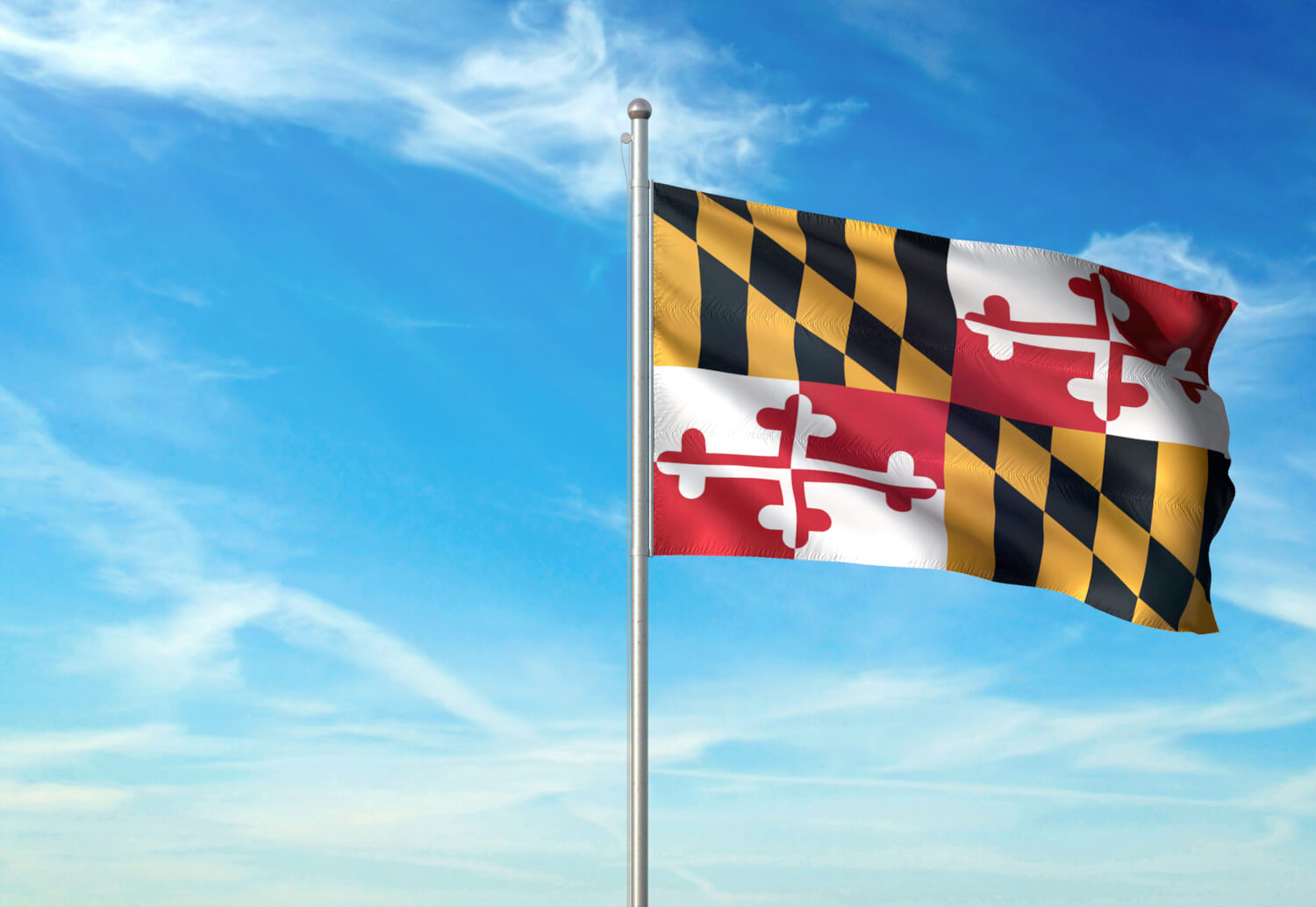 Maryland flag flying high in Chestertown, Md.
